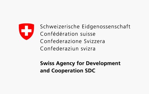 Deza Logo Save the Children